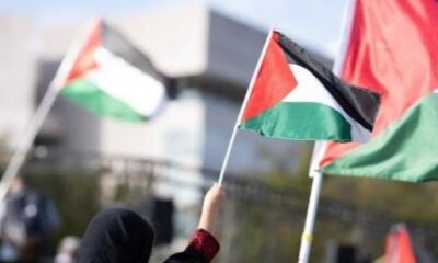 Palestinian territories flag